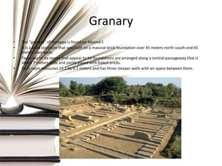 Granary
•
•

•
•

The "granary" of Harappa is found on Mound F.
It is a brick structure that was built on a massive brick foundation over 45 meters north-south and 45
meters east-west.
Two rows of six rooms that appear to be foundations are arranged along a central passageway that is
about 7 meters wide and partly paved with baked bricks.
Each room measures 15.2 by 6.1 meters and has three sleeper walls with air space between them.

 