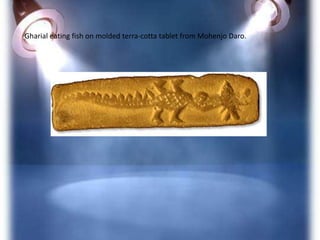 Gharial eating fish on molded terra-cotta tablet from Mohenjo Daro.

 