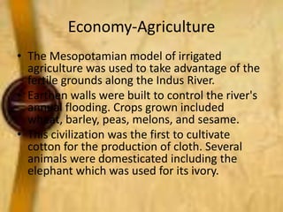 Economy-Agriculture
• The Mesopotamian model of irrigated
agriculture was used to take advantage of the
fertile grounds along the Indus River.
• Earthen walls were built to control the river's
annual flooding. Crops grown included
wheat, barley, peas, melons, and sesame.
• This civilization was the first to cultivate
cotton for the production of cloth. Several
animals were domesticated including the
elephant which was used for its ivory.

 