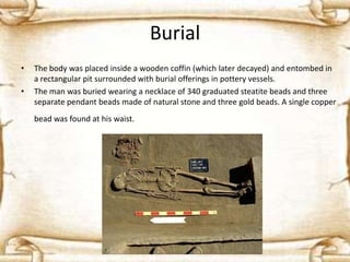 Burial
•

•

The body was placed inside a wooden coffin (which later decayed) and entombed in
a rectangular pit surrounded with burial offerings in pottery vessels.
The man was buried wearing a necklace of 340 graduated steatite beads and three
separate pendant beads made of natural stone and three gold beads. A single copper
bead was found at his waist.

 