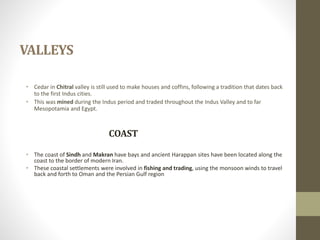 VALLEYS
• Cedar in Chitral valley is still used to make houses and coffins, following a tradition that dates back
to the first Indus cities.
• This was mined during the Indus period and traded throughout the Indus Valley and to far
Mesopotamia and Egypt.
COAST
• The coast of Sindh and Makran have bays and ancient Harappan sites have been located along the
coast to the border of modern Iran.
• These coastal settlements were involved in fishing and trading, using the monsoon winds to travel
back and forth to Oman and the Persian Gulf region.
 