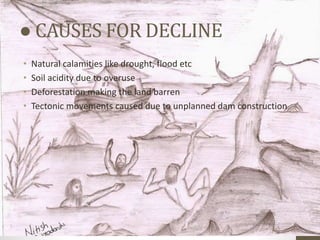 ● CAUSES FOR DECLINE
• Natural calamities like drought, flood etc
• Soil acidity due to overuse
• Deforestation making the land barren
• Tectonic movements caused due to unplanned dam construction
 