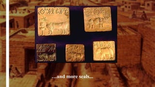 …and more seals...
 