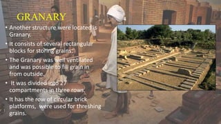 GRANARY
• Another structure were located is
Granary.
• It consists of several rectangular
blocks for storing grains.
• The Granary was well ventilated
and was possible to fill grain in
from outside.
• It was divided into 27
compartments in three rows.
• It has the row of circular brick
platforms, were used for threshing
grains.
 