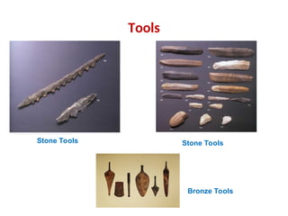 Tools
Stone Tools Stone Tools
Bronze Tools
 