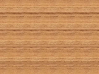 Indus valley civilization  tyba