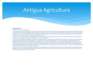 Antigua Agricultura
Trilla de cereales en el antiguo Egipto.
El Creciente Fértil de Oeste de Asia, Egipto e India fueron los sitios de la primera siembra y cosecha planificada, de plantas que habían sido recogidas previamente
en la naturaleza. El desarrollo independiente de la agricultura se produjo en el norte y sur de China, en el Sah el de África, en Nueva Guinea y en varias regiones de
las Américas. Los ocho cultivos llamados fundadores del Neolítico de la agricultura, fueron en primer lugar los cereales: trigo "espelta", el trigo "mocho", luego
la cebada; las leguminosas: guisantes, lentejas, yeros, garbanzo; y el lino.
En el año 7000 Ac , la naciente agricultura llegó a Egipto. Por lo menos desde 7000 Ac, en el subcontinente indio se cultivó trigo y cebada, como lo demuestran
excavaciones arqueológicas en Margar en Beluchistán, en lo que hoy es Pakistán.
En el año 6000 Ac, la agricultura campesina se atrincheró en las orillas del Nilo. Esto debido al poco desarrollo aún de las técnicas de riego. Durante este tiempo,
la agricultura se desarrollo de forma independiente en el Legan Oriente, con el arroz, en lugar de trigo, como cultivo principal. Los agricultores de China e
Indonesia lograron domesticar el taro o papa china (colocasia spa) y el frijol Ming (viga radiata), la soja y el asumí (viga angulares). Como complemento a estas
nuevas fuentes de hidratos de carbono, una red de pesca altamente organizada en los ríos, lagos y las costas del océano en estas áreas trajo consigo grandes
volúmenes de proteínas esenciales. En conjunto, estos nuevos métodos agrícolas y de pesca originaron un auge de la población humana que empequeñeció todas
las expansiones anteriores y que continúa en la actualidad.
En 5000 Ac, los sumerios habían desarrollado las principales técnicas agrícolas, incluyendo el cultivo intensivo de la tierra a gran escala, el monocultivo, técnicas
de riego, y el uso de mano de obra especializada, particularmente a lo largo de la vía acuática ahora conocida como el canal de Salt al-Araba, del delta de Golfo
Pérsico a la confluencia de los ríos Tigris y Éufrates.
Antigua Agricultura
 