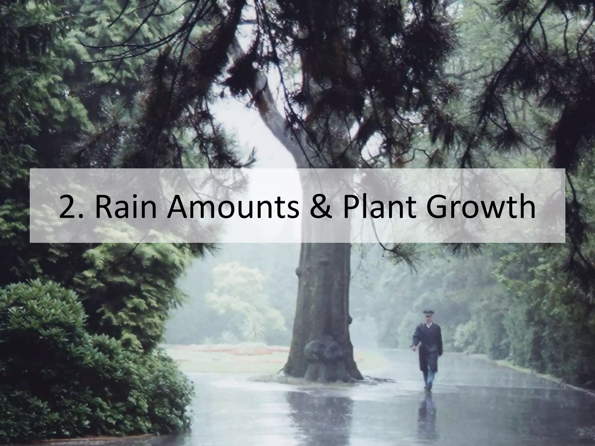 2. Rain Amounts & Plant Growth