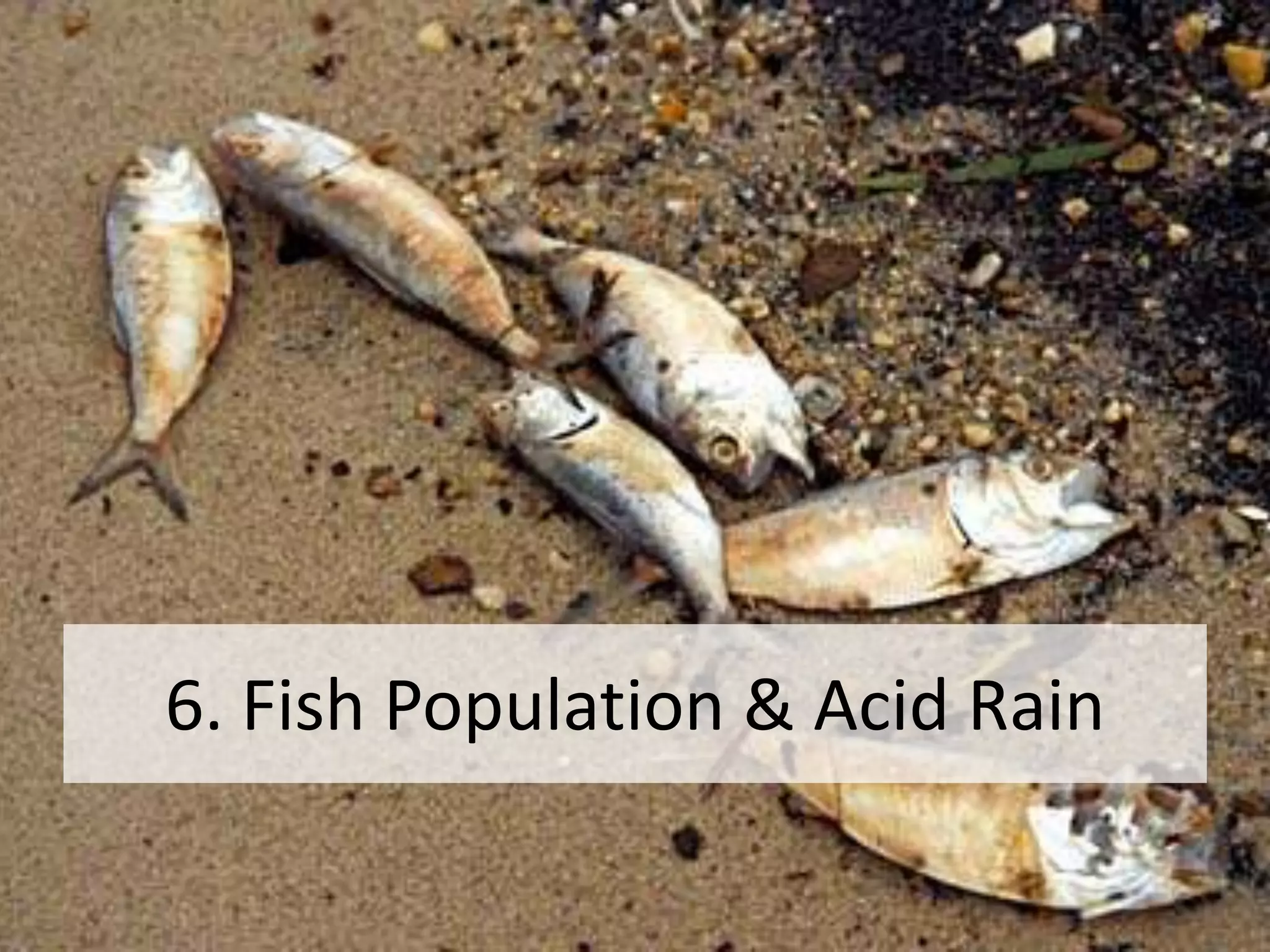 6. Fish Population & Acid Rain