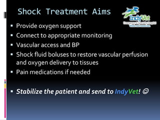 Shock Treatment Aims
 Provide oxygen support
 Connect to appropriate monitoring
 Vascular access and BP
 Shock fluid boluses to restore vascular perfusion
and oxygen delivery to tissues
 Pain medications if needed
 Stabilize the patient and send to IndyVet! 
 