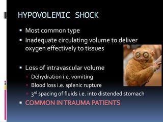 HYPOVOLEMIC SHOCK
 Most common type
 Inadequate circulating volume to deliver
oxygen effectively to tissues
 Loss of intravascular volume
 Dehydration i.e. vomiting
 Blood loss i.e. splenic rupture
 3rd spacing of fluids i.e. into distended stomach
 