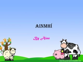 Ainmhí
By Áine
 