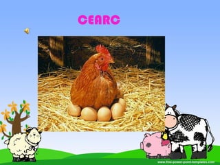 CEARC
 