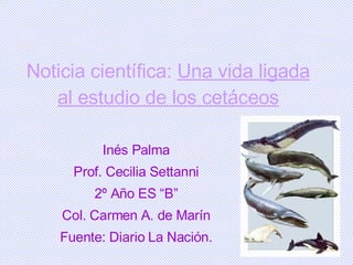 Noticia científica:  Una vida ligada al estudio de los cetáceos Inés Palma Prof. Cecilia Settanni 2º Año ES “B” Col. Carmen A. de Marín Fuente: Diario La Nación. 
