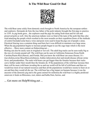 Is The Wild Boar Good Or Bad
The wild Boar came solely from domestic stock brought to North America by the european settlers
and explorers. Hernando de Soto the true father of the pork industry brought the first pigs to america
in 1539. As pig herds grew....the explorers used the pigs for eating fresh meat and for salt and
preserved pork as well. Also the american indians were so fond of the taste of the pork that they also
tried attacking the people which resulted in the most assaults on their expedition.Some of the methods
of control Included some heavy wires and posts were used to keep the pigs out of people s areas.
Electrical fencing was a common thing used here but it was difficult to maintain over large areas.
When the pig population begins to increase people began to use the cage traps which is the most
effective ... Show more content on Helpwriting.net ...
Rotting can also be easily seen in irrigated or wet soil. The adult hog tracks can be seen really big as
the size of a twenty pound calf. The wild boar can be seen in California,Tennessee,Texas,North
Carolina,Puerto Rico,Hawaii, and Florida. Did you know the wild Boar can cause disease. It`s
true:cholera,swine Brucellosis,trichinosis, bodine tuberculosis,foot and mouth disease african swine
fever, and pseudorabies. The male wild boars can get bigger than the females because their tucks
curve further under their mouth then the females do. If the populations of the wild boar increase then
there will be more wild boars invading the us and our world will be full of wild boars and then we
would lose most of our natural resources and then all the populations would have noone to feast on or
eat and then they would all die out. The wild boar has a big impact on humans because it was the
ancestor of the domestic pig and is the game animal for millennia.the wild boar is a highly predicted
omnivore it feeds on Rhizomes, root, tubers and bulbs,Nuts, berries, and
... Get more on HelpWriting.net ...
 