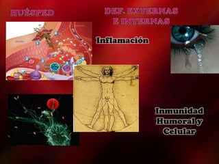 Inflamación
Inmunidad
Humoral y
Celular