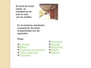 El modo de recibir
clases es
trasladarnos de
aula en aula
 por los pasillos


 En el recibimos orientación
 ocupacional; las áreas
 ocupacionales son las
 siguientes:

 Áreas:
                               Horticultura
 Comercial                    Pecuaria
 Belleza                      Electricidad
 Preparación de alimentos     Metales
 Corte y confección           Maderas
 Floricultura
 