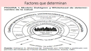 Factores que determinan
 