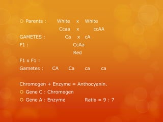 SUPPLEMENTARY AND COMPLEMENTARY INHERITANCES | PPTX