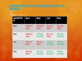 Pericarp Color SUPPLEMENTARY AND COMPLEMENTARY INHERITANCES | PPTX