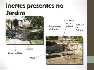 Inertes presentes no
Jardim
                                         Pequenos
                                          inertes
                                                  Balastros
                            Fragmentos    rolados
                                                  de
                            de Diorito
                                                  Calcário




                 Seixos
Cascalho/Brita

                    Areia
 