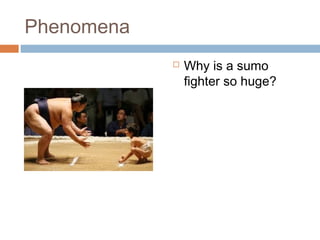 Phenomena


Why is a sumo
fighter so huge?

 