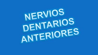 Inervación de los dientes