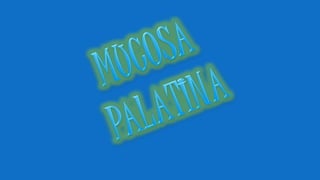 Inervación de los dientes