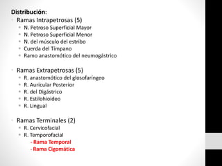 Distribución:
• Ramas Intrapetrosas (5)
 N. Petroso Superficial Mayor
 N. Petroso Superficial Menor
 N. del músculo del estribo
 Cuerda del Tímpano
 Ramo anastomótico del neumogástrico
• Ramas Extrapetrosas (5)
 R. anastomótico del glosofaríngeo
 R. Auricular Posterior
 R. del Digástrico
 R. Estilohioideo
 R. Lingual
• Ramas Terminales (2)
 R. Cervicofacial
 R. Temporofacial
- Rama Temporal
- Rama Cigomática
 