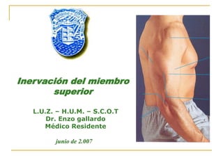 Inervación del miembro
superior
L.U.Z. – H.U.M. – S.C.O.T
Dr. Enzo gallardo
Médico Residente
junio de 2.007
 