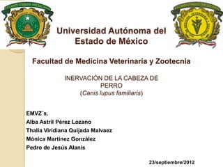 Universidad Autónoma del
               Estado de México

  Facultad de Medicina Veterinaria y Zootecnia

              INERVACIÓN DE LA CABEZA DE
                          PERRO
                  (Canis lupus familiaris)


EMVZ´s.
Alba Astril Pérez Lozano
Thalía Viridiana Quijada Malvaez
Mónica Martínez González
Pedro de Jesús Alanís

                                       23/septiembre/2012
 