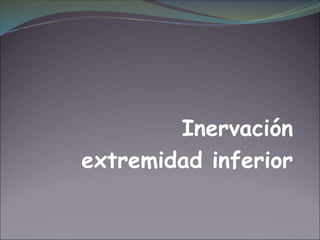 Inervación
extremidad inferior
 