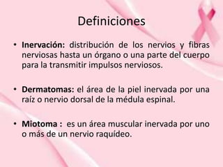 Definiciones
• Inervación: distribución de los nervios y fibras
nerviosas hasta un órgano o una parte del cuerpo
para la transmitir impulsos nerviosos.
• Dermatomas: el área de la piel inervada por una
raíz o nervio dorsal de la médula espinal.
• Miotoma : es un área muscular inervada por uno
o más de un nervio raquídeo.
 