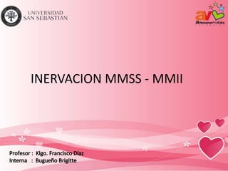 INERVACION MMSS - MMII
 