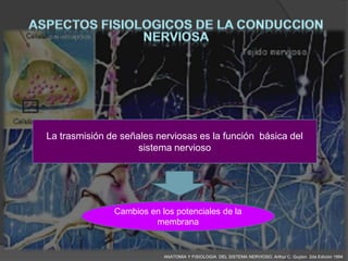 La trasmisión de señales nerviosas es la función básica del
                     sistema nervioso




               Cambios en los potenciales de la
                        membrana


                           ANATOMIA Y FISIOLOGIA DEL SISTEMA NERVIOSO. Arthur C. Guyton 2da Edición 1994
 
