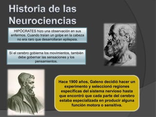 HIPÓCRATES hizo una observación en sus
 enfermos. Cuando traían un golpe en la cabeza
     no era raro que desarrollaran epilepsia.


Sí el cerebro gobierna los movimientos, también
       debe gobernar las sensaciones y los
                 pensamientos.




                               Hace 1900 años, Galeno decidió hacer un
                                  experimento y seleccionó regiones
                                específicas del sistema nervioso hasta
                               que encontró que cada parte del cerebro
                               estaba especializada en producir alguna
                                     función motora o sensitiva.
 