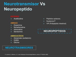 ESTERES
            Acetilcolina                                                           Péptidos opiáceos.
                                                                                    Sustancia P
           AMINAS                                                                   VIP (Polipéptido intestinal)
            Dopamina
            Noradrenalina
            Adrenalina
            Serotonina


           AMINOACÍDOS
            Glutamato (exitatorio)
            GABA
            Glicina


NEUROTRASMISORES

P, Lorenzo, A, Moreno, J.C. Leza Velazquez Farmacologia Basica y clinica 17ª Edición 2005
 