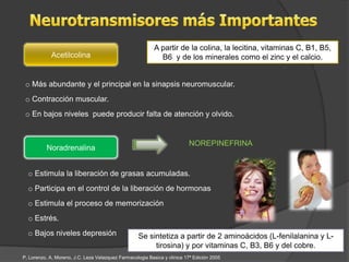 A partir de la colina, la lecitina, vitaminas C, B1, B5,
            Acetilcolina                                     B6 y de los minerales como el zinc y el calcio.


 o Más abundante y el principal en la sinapsis neuromuscular.
 o Contracción muscular.
 o En bajos niveles puede producir falta de atención y olvido.


                                                                          NOREPINEFRINA
          Noradrenalina


  o Estimula la liberación de grasas acumuladas.
  o Participa en el control de la liberación de hormonas
  o Estimula el proceso de memorización
  o Estrés.
  o Bajos niveles depresión                         Se sintetiza a partir de 2 aminoácidos (L-fenilalanina y L-
                                                         tirosina) y por vitaminas C, B3, B6 y del cobre.
P, Lorenzo, A, Moreno, J.C. Leza Velazquez Farmacologia Basica y clinica 17ª Edición 2005
 