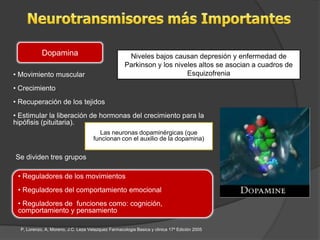Dopamina                                  Niveles bajos causan depresión y enfermedad de
                                                     Parkinson y los niveles altos se asocian a cuadros de
• Movimiento muscular                                                    Esquizofrenia

• Crecimiento
• Recuperación de los tejidos
• Estimular la liberación de hormonas del crecimiento para la
hipófisis (pituitaria).
                                       Las neuronas dopaminérgicas (que
                                     funcionan con el auxilio de la dopamina)


Se dividen tres grupos

 • Reguladores de los movimientos
 • Reguladores del comportamiento emocional
 • Reguladores de funciones como: cognición,
 comportamiento y pensamiento

  P, Lorenzo, A, Moreno, J.C. Leza Velazquez Farmacologia Basica y clinica 17ª Edición 2005
 