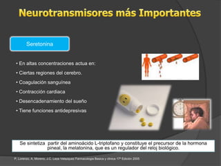 Seretonina


 • En altas concentraciones actua en:
 • Ciertas regiones del cerebro.
 • Coagulación sanguínea
 • Contracción cardiaca
 • Desencadenamiento del sueño
 • Tiene funciones antidepresivas




   Se sintetiza partir del aminoácido L-triptofano y constituye el precursor de la hormona
                pineal, la melatonina, que es un regulador del reloj biológico.

P, Lorenzo, A, Moreno, J.C. Leza Velazquez Farmacologia Basica y clinica 17ª Edición 2005
 