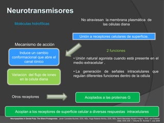 No atraviesan la membrana plasmática de
    Moléculas hidrofílicas                                                                  las células diana


                                                                             Unión a receptores celulares de superficie.

    Mecanismo de acción
                                                                                                           2 funciones
     Induce un cambio
 conformacional que abre el                                           • Unión natural agonista cuando está presente en el
        canal iónico                                                  medio extracelular .

                                                                      • La generación de señales intracelulares que
 Variación del flujo de iones                                         regulan diferentes funciones dentro de la célula
      en la célula diana



 Otros receptores                                                                  Acoplados a las proteínas G

                                                                    .
     Acoplan a los receptores de superficie celular a diversas respuestas intracelulares
Neuropeptides in Dental Pulp: The Silent Protagonists. Javier Caviedes-Bucheli, DDS, MSc, Hugo Roberto Muñoz, DDS, MSc, María Mercedes Azuero-Holguín, DDS, and Esteban
                                                                                                                        Ulate, DDS JOE — Volume 34, Number 7, July 2008
 