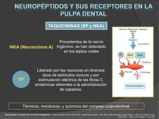 TAQUICININAS (SP y NKA)


                           Procedentes de la nervio
     NKA (Neurocinina A) trigémino, se han detectado
                              en los tejidos orales



                                   Liberado por las neuronas en diversos
                                      tipos de estímulos nocivos y por
               SP                   estimulación eléctrica de las fibras C
                                  amielínicas aferentes o la administración
                                                de capseina.



                    Térmicos, mecánicos, y químicos del complejo pulpodentinal.
Neuropeptides in Dental Pulp: The Silent Protagonists. Javier Caviedes-Bucheli, DDS, MSc, Hugo Roberto Muñoz, DDS, MSc, María Mercedes Azuero-Holguín, DDS, and Esteban Ulate,
                                                                                                                                   DDS JOE — Volume 34, Number 7, July 2008
 