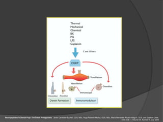 Neuropeptides in Dental Pulp: The Silent Protagonists. Javier Caviedes-Bucheli, DDS, MSc, Hugo Roberto Muñoz, DDS, MSc, María Mercedes Azuero-Holguín, DDS, and Esteban Ulate,
                                                                                                                                   DDS JOE — Volume 34, Number 7, July 2008
 