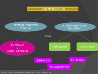 SISTEMA NERVIOSO




                   SISTEMA NERVIOSO                                                  SISTEMA NERVIOSO
                        CENTRAL                                                         PERIFERICO

                                                                 FORMADO




           ENCEFALO
                                                                                AUTÓNOMO         SOMÁTICO
               Y
         MEDULA ESPINAL


                                                      SIMPATICO                            ENTERICO

                                                                          PARASIMPATICO

ANATOMIA Y FISIOLOGIA DEL SISTEMA NERVIOSO. Arthur C. Guyton 2da Edición 1994
 