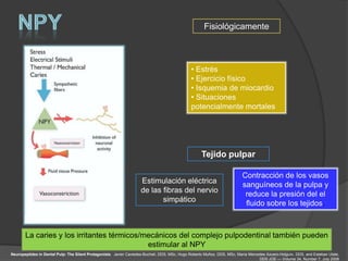 Fisiológicamente



                                                                                               • Estrés
                                                                                               • Ejercicio físico
                                                                                               • Isquemia de miocardio
                                                                                               • Situaciones
                                                                                               potencialmente mortales




                                                                                                     Tejido pulpar

                                                                                                                          Contracción de los vasos
                                                                    Estimulación eléctrica                                sanguíneos de la pulpa y
                                                                    de las fibras del nervio                               reduce la presión del el
                                                                           simpático                                       fluido sobre los tejidos.



       La caries y los irritantes térmicos/mecánicos del complejo pulpodentinal también pueden
                                            estimular al NPY
Neuropeptides in Dental Pulp: The Silent Protagonists. Javier Caviedes-Bucheli, DDS, MSc, Hugo Roberto Muñoz, DDS, MSc, María Mercedes Azuero-Holguín, DDS, and Esteban Ulate,
                                                                                                                                   DDS JOE — Volume 34, Number 7, July 2008
 