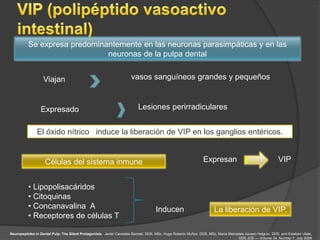 Se expresa predominantemente en las neuronas parasimpáticas y en las
                              neuronas de la pulpa dental


                   Viajan                                            vasos sanguíneos grandes y pequeños



                 Expresado                                               Lesiones perirradiculares


               El óxido nítrico induce la liberación de VIP en los ganglios entéricos.


                    Células del sistema inmune                                                                 Expresan                                   VIP


          • Lipopolisacáridos
          • Citoquinas
          • Concanavalina A                                                         Inducen                          La liberación de VIP.
          • Receptores de células T

Neuropeptides in Dental Pulp: The Silent Protagonists. Javier Caviedes-Bucheli, DDS, MSc, Hugo Roberto Muñoz, DDS, MSc, María Mercedes Azuero-Holguín, DDS, and Esteban Ulate,
                                                                                                                                   DDS JOE — Volume 34, Number 7, July 2008
 