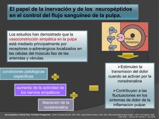 El papel de la inervación y de los neuropéptidos
      en el control del flujo sanguíneo de la pulpa.


     Los estudios han demostrado que la
     vasoconstricción simpática en la pulpa
     está mediado principalmente por
     receptores α-adrenérgicos localizados en
     las células del músculo liso de las
     arteriolas y vénulas.

                                                                                                                              Estimulen la
condiciones patológicas                                                                                                   transmisión del dolor
      especificas                                                                                                       cuando se activan por la
                                                                                                                              noradrenalina
              aumento de la actividad de
                los nervios simpáticos                                                                                      Contribuyen a las
                                                                                                                            fluctuaciones en los
                                                                                                                          síntomas de dolor de la
                                            liberación de la
                                                                                                                             inflamación pulpar.
                                             noradrenalina
 Neuropeptides in Dental Pulp: The Silent Protagonists. Javier Caviedes-Bucheli, DDS, MSc, Hugo Roberto Muñoz, DDS, MSc, María Mercedes Azuero-Holguín, DDS, and Esteban Ulate,
                                                                                                                                    DDS JOE — Volume 34, Number 7, July 2008
 