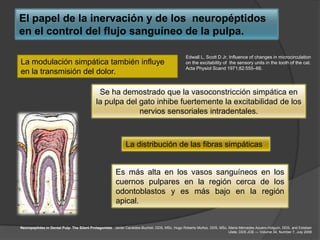 El papel de la inervación y de los neuropéptidos
en el control del flujo sanguíneo de la pulpa.

                                                                                              Edwall L, Scott D Jr. Influence of changes in microcirculation
La modulación simpática también influye                                                       on the excitability of the sensory units in the tooth of the cat.
                                                                                              Acta Physiol Scand 1971;82:555–66.
en la transmisión del dolor.

                                            Se ha demostrado que la vasoconstricción simpática en
                                           la pulpa del gato inhibe fuertemente la excitabilidad de los
                                                        nervios sensoriales intradentales.



                                                            La distribución de las fibras simpáticas


                                                      Es más alta en los vasos sanguíneos en los
                                                      cuernos pulpares en la región cerca de los
                                                      odontoblastos y es más bajo en la región
                                                      apical.


Neuropeptides in Dental Pulp: The Silent Protagonists. Javier Caviedes-Bucheli, DDS, MSc, Hugo Roberto Muñoz, DDS, MSc, María Mercedes Azuero-Holguín, DDS, and Esteban
                                                                                                                        Ulate, DDS JOE — Volume 34, Number 7, July 2008
 