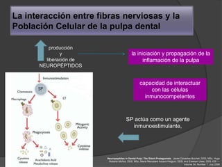 La interacción entre fibras nerviosas y la
Población Celular de la pulpa dental

          producción
              y                             la iniciación y propagación de la
        liberación de                             inflamación de la pulpa
      NEUROPÉPTIDOS


                                                  capacidad de interactuar
                                                       con las células
                                                    inmunocompetentes



                                       SP actúa como un agente
                                         inmunoestimulante,




                        Neuropeptides in Dental Pulp: The Silent Protagonists. Javier Caviedes-Bucheli, DDS, MSc, Hugo
                         Roberto Muñoz, DDS, MSc, María Mercedes Azuero-Holguín, DDS, and Esteban Ulate, DDS JOE —
                                                                                        Volume 34, Number 7, July 2008
 