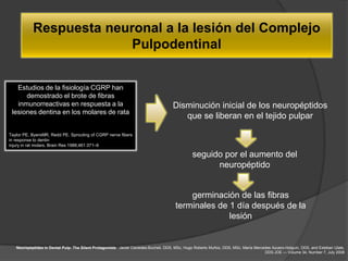 Respuesta neuronal a la lesión del Complejo
                         Pulpodentinal


   Estudios de la fisiología CGRP han
      demostrado el brote de fibras
   inmunorreactivas en respuesta a la                                                 Disminución inicial de los neuropéptidos
 lesiones dentina en los molares de rata
                                                                                         que se liberan en el tejido pulpar

Taylor PE, ByersMR, Redd PE. Sprouting of CGRP nerve fibers
in response to dentin
injury in rat molars. Brain Res 1988;461:371–6

                                                                                                seguido por el aumento del
                                                                                                      neuropéptido


                                                                                           germinación de las fibras
                                                                                       terminales de 1 día después de la
                                                                                                     lesión


   Neuropeptides in Dental Pulp: The Silent Protagonists. Javier Caviedes-Bucheli, DDS, MSc, Hugo Roberto Muñoz, DDS, MSc, María Mercedes Azuero-Holguín, DDS, and Esteban Ulate,
                                                                                                                                      DDS JOE — Volume 34, Number 7, July 2008
 